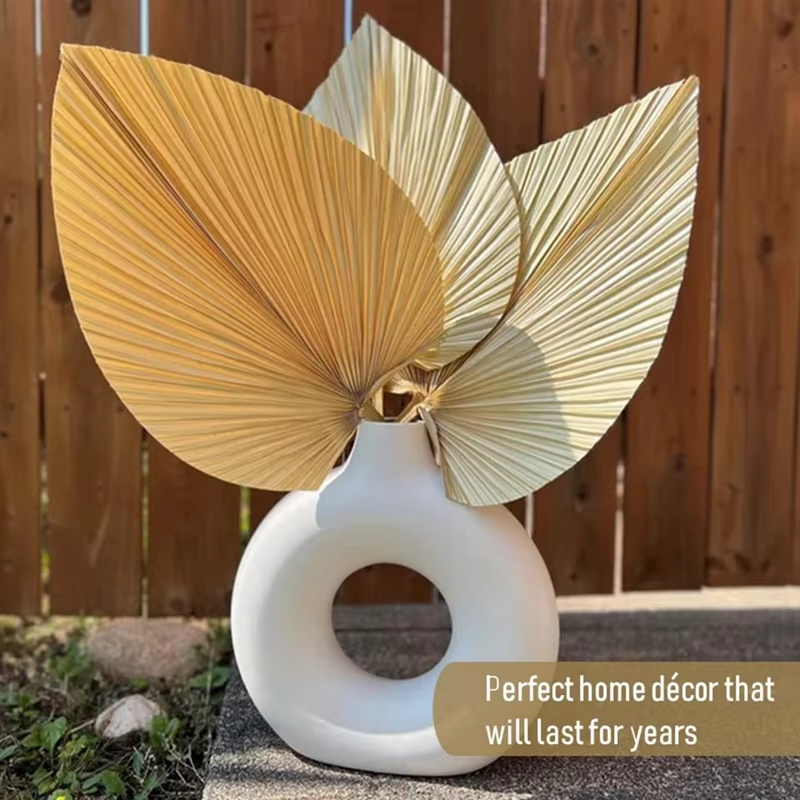 The Solstice Palm Leaves from Brazil