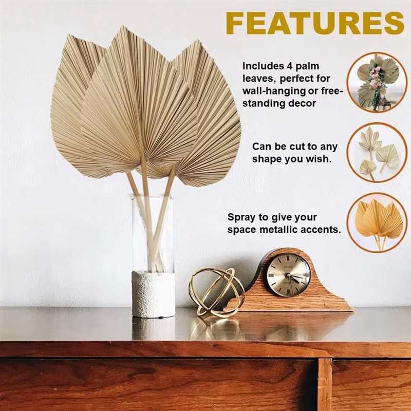 The Solstice Palm Leaves from Brazil