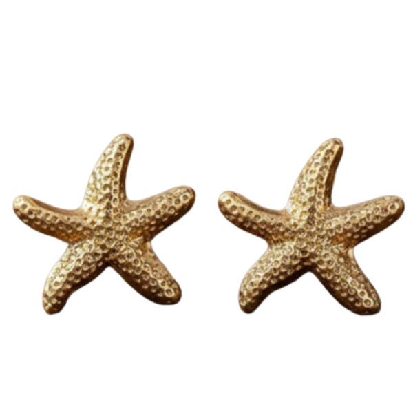 Tide-Washed Starfish Studs from Morocco